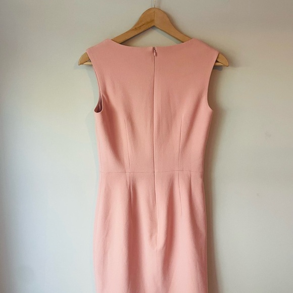 Dress the Population Blush Pink Sheath Dress - Picture 3 of 8